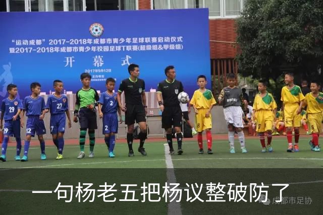 一句杨老五把杨议整破防了
