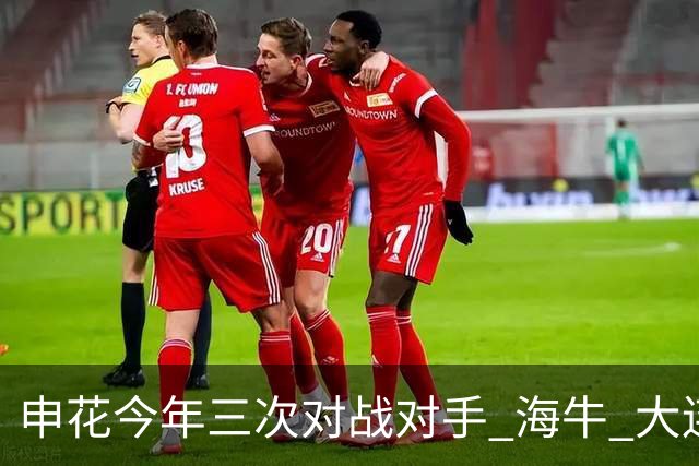 申花今年三次对战对手 海牛 大连 町田 输得最痛心 还得是足协杯8强赛