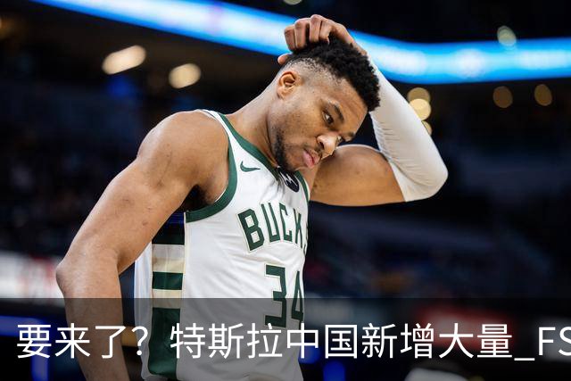 要来了？特斯拉中国新增大量 FSD 功能和图标